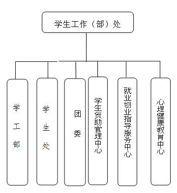 学生工作组织结构