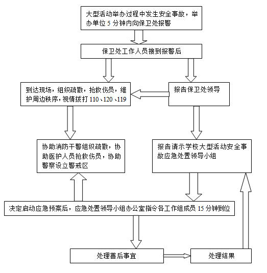 型活动安全事故处置工作流程图